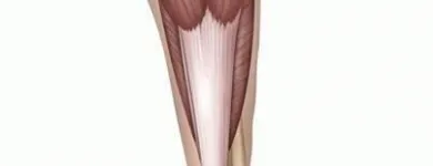 Business 7 image ENERGISE, PHYSICAL THERAPY AND SPORTS INJURY CLINIC Sports Injury Clinics in Wicklow WW