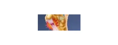 Business 8 image ENERGISE, PHYSICAL THERAPY AND SPORTS INJURY CLINIC Sports Injury Clinics in Wicklow WW