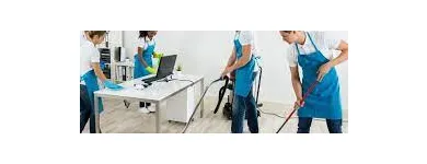 Business 2 image HOUSE CLEANING DUBLIN Cleaning & Maintenance Service in Dublin D