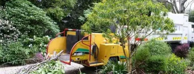 Business 2 image KING TREE SERVICES LTD Tree Work & Forestry Services in Enniskerry WW