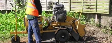 Business 3 image KING TREE SERVICES LTD Tree Work & Forestry Services in Enniskerry WW