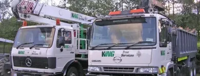 Business 4 image KING TREE SERVICES LTD Tree Work & Forestry Services in Enniskerry WW