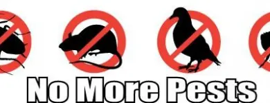 Business 1 image PESTPLUS Pest & Animal Control in Dublin IE


