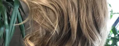 Business 3 image RED APPLE HAIR GROUP Beauty Salons & Consultants in Carlow IE


