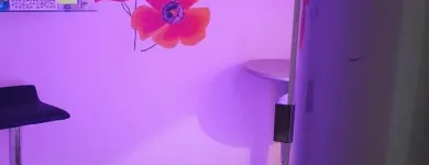 Business 1 image TANNING4U Tanning Salons in Tralee KY