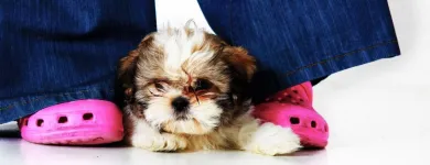 Business 18 image TRUE SHOT PHOTOGRAPHY LIMITED Wedding Photography & Videography in Dublin IE


