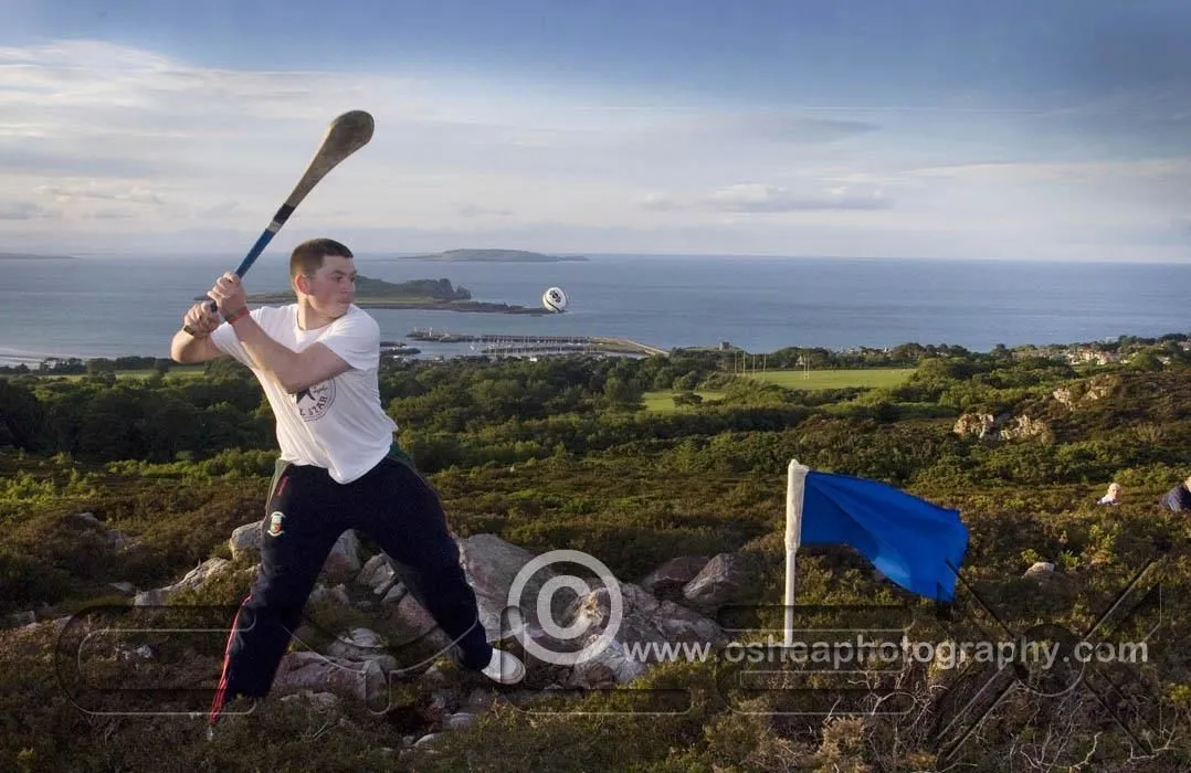 Business 2 image DAVID O'SHEA PHOTOGRAPHY