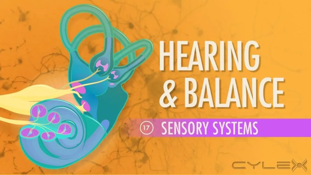 Business 4 image THE AUDIOLOGY CLINIC