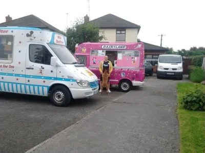 Business 10 image DROGHEDA ICE-CREAM VAN HIRE