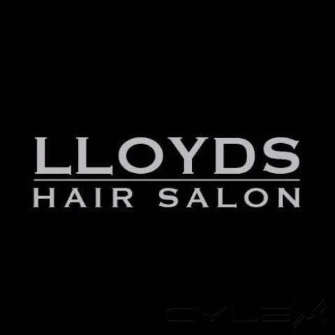 Business 5 image LLOYDS WALK IN SALON