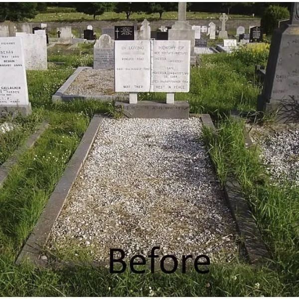 Business 7 image GRAVE MAINTENANCE SERVICE