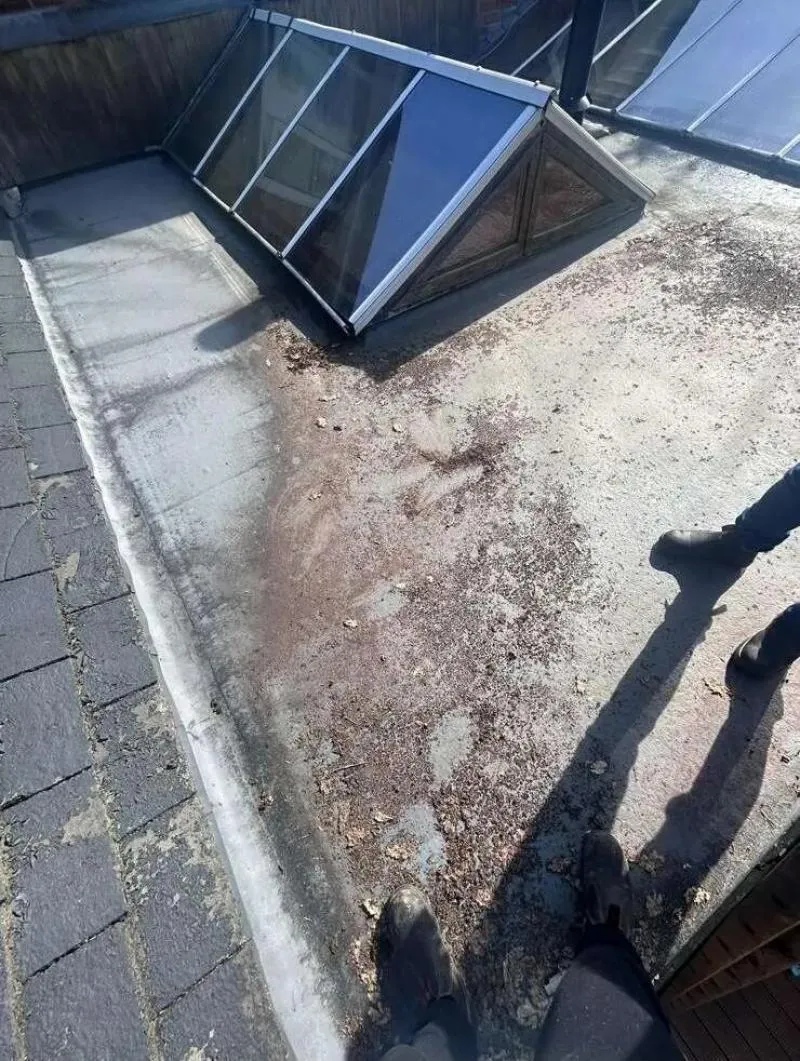 Business 7 image ROOFING PRO