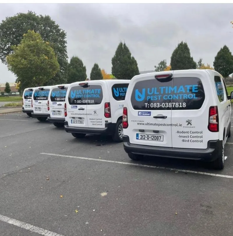 Business 1 image ULTIMATE PEST CONTROL DUBLIN