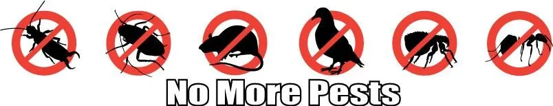 Business 1 image PESTPLUS