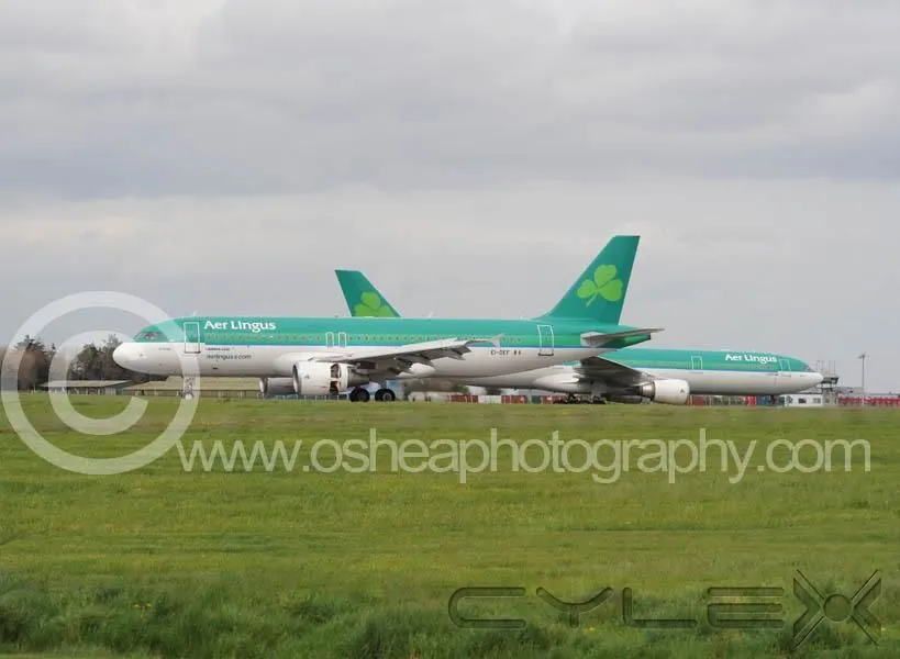 Business 7 image DAVID O'SHEA PHOTOGRAPHY