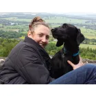 HOLLYBARN DOG AND PUPPY TRAINING, BEHAVIOUR & BOARDING